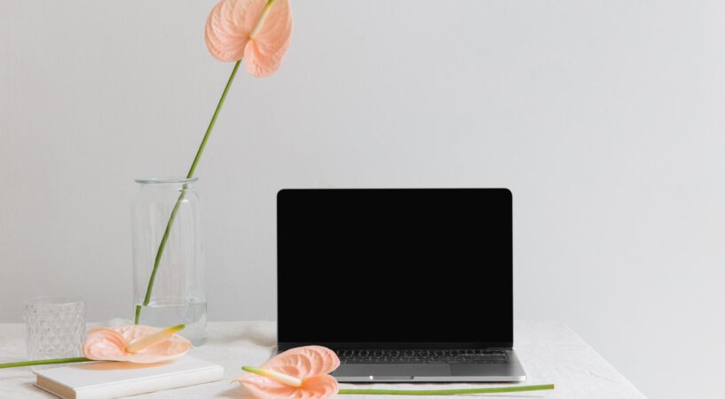 Notebook Black Friday Edition